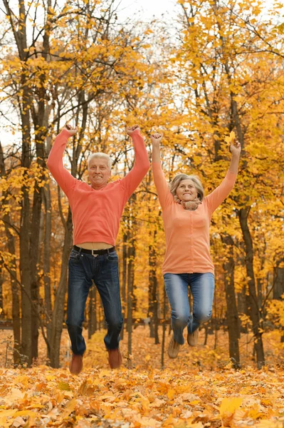 Paar plezier in park — Stockfoto