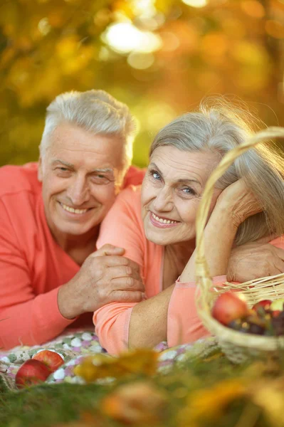 Couple in autumn park — Stock Photo, Image