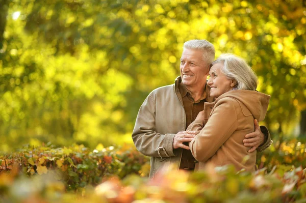 Coppia nel parco autunnale — Foto Stock