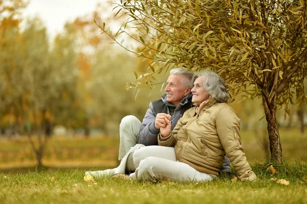 Couple dans le parc d'automne — Photo