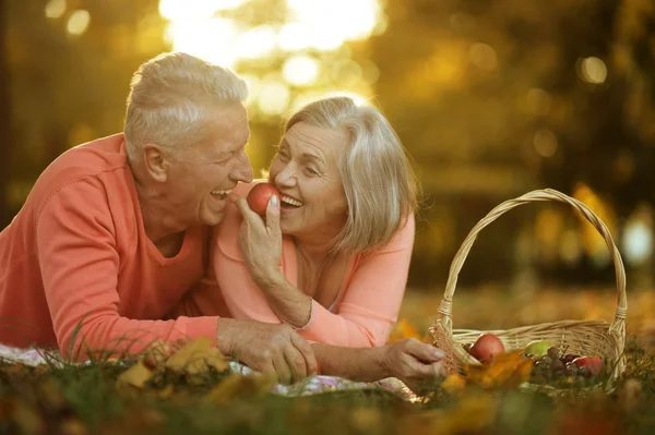 Pareja en el parque de otoño — Foto de Stock