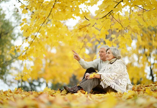 Casal se divertindo no parque — Fotografia de Stock