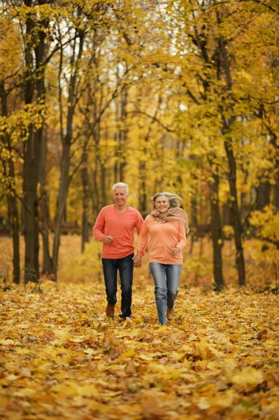 Mature couple  in the autumn forest — Stock Photo, Image