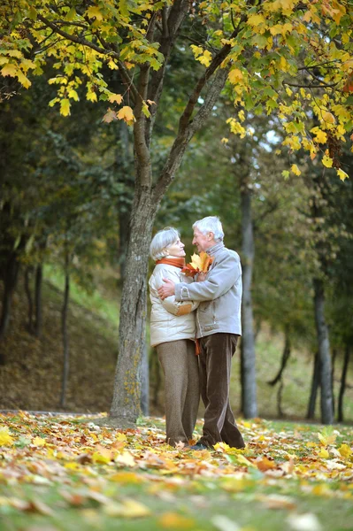 Pareja divirtiéndose en parque — Foto de Stock