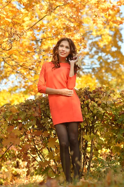 Donna nel parco d'autunno — Foto Stock
