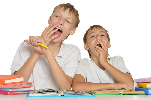 Dos hermanos haciendo la tarea —  Fotos de Stock