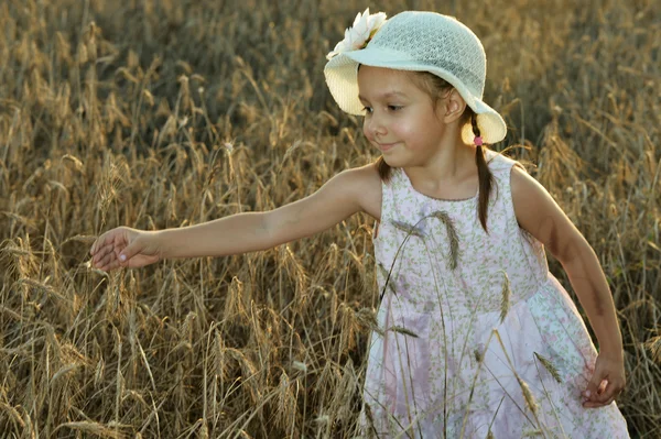 Kleines Mädchen im Weizenfeld — Stockfoto