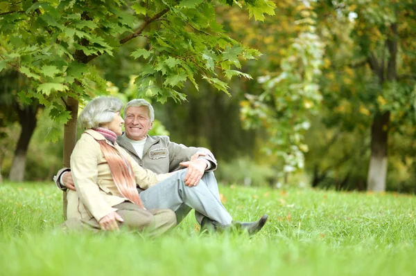 Mooi senior koppel — Stockfoto