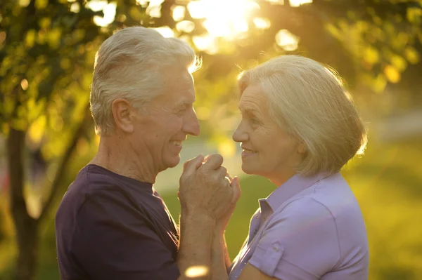 Senior paar in park bij zonsondergang — Stockfoto