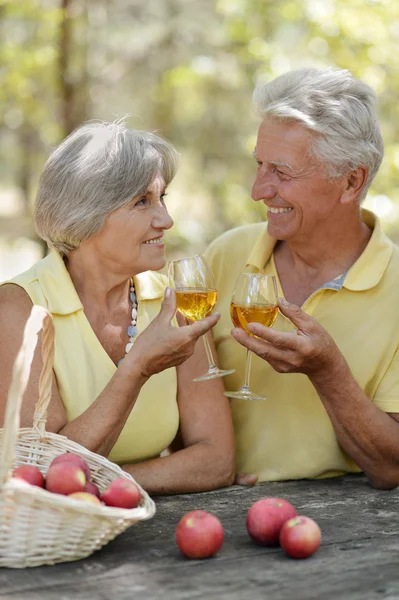 La vieja pareja bebiendo vino — Foto de Stock