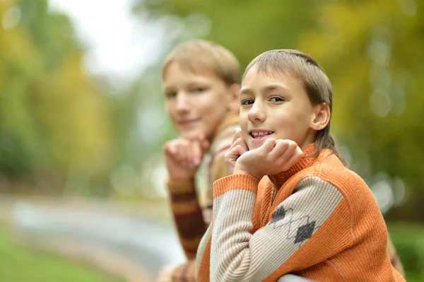 Jongens wandelen in het woud — Stockfoto