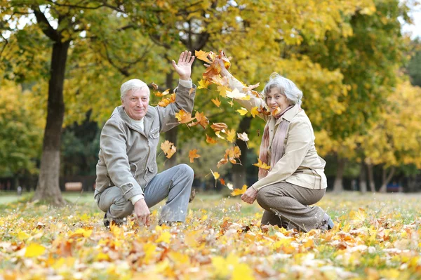 Elderly couple throwing leaves — Stock Photo, Image