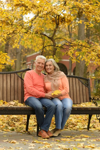 Parejas maduras en el parque — Foto de Stock