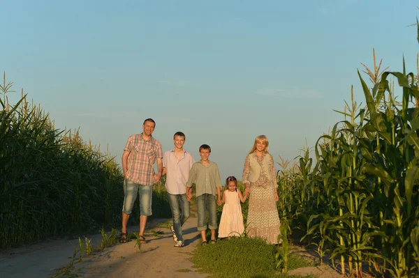 Familjen står i fältet — Stockfoto