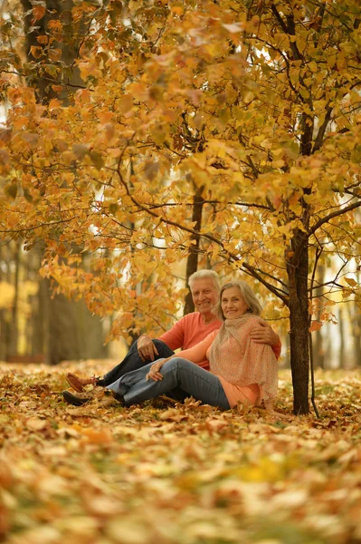 Älteres Ehepaar im Park — Stockfoto