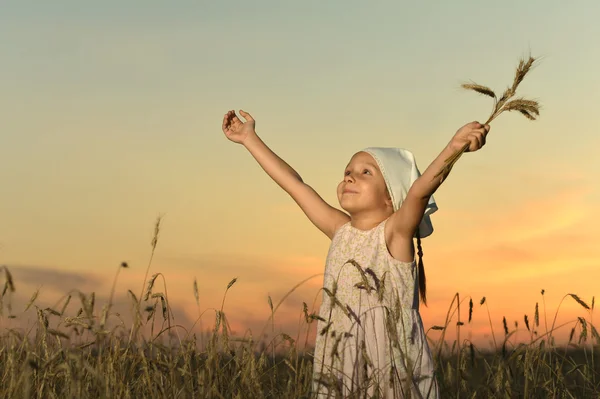 Malá holčička v poli pšenice — Stock fotografie