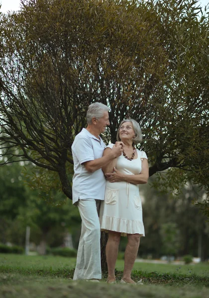 Couple sénior dans un parc d'été — Photo