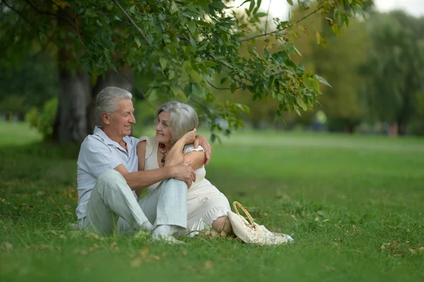 Seniorenpaar in park — Stockfoto