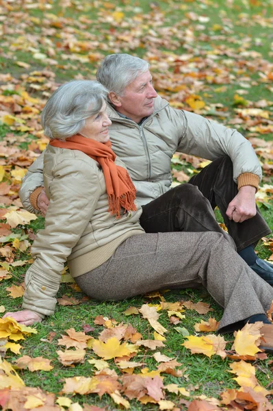 Oude mensen in het najaar park — Stockfoto