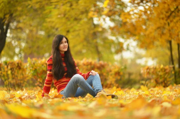 Kráska dívka v podzimním parku, — Stock fotografie