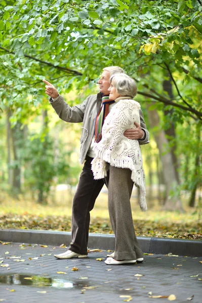 Senior couple in  park — Stock Photo, Image