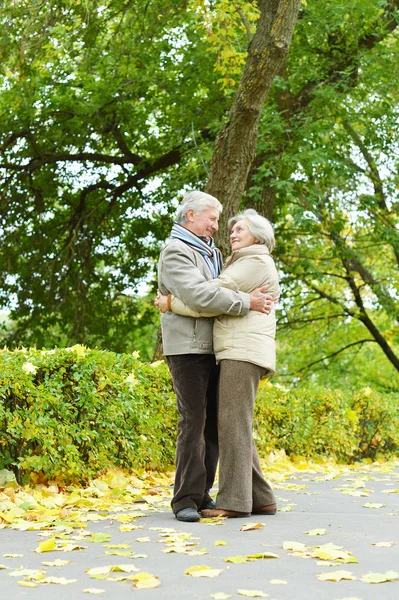 Paar plezier in park — Stockfoto