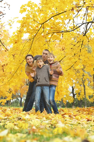 Familie entspannt im Herbstpark — Stockfoto