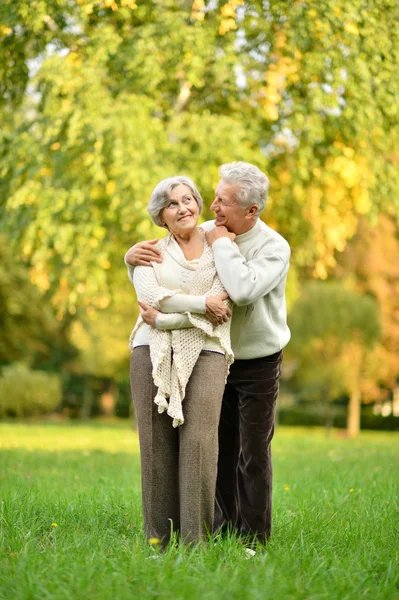 Seniorenpaar in park — Stockfoto