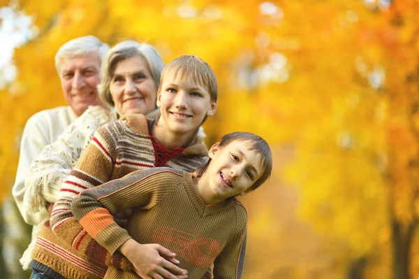 Abuelos con niños en el parque — Foto de Stock