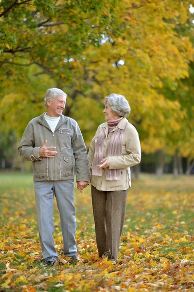 Paar plezier in park — Stockfoto