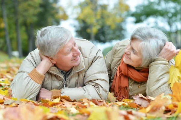 Elderly couple throwing leaves — Stock Photo, Image