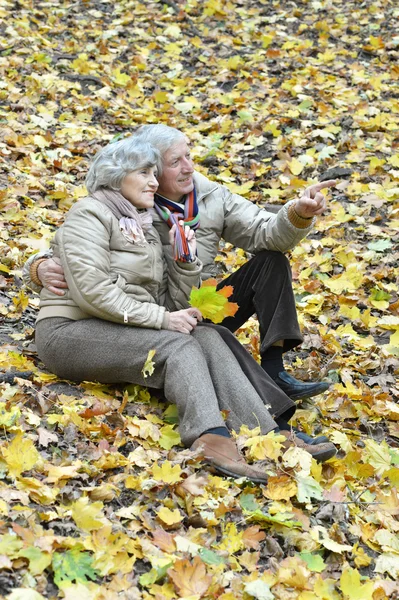 Bejaarde echtpaar in het park — Stockfoto