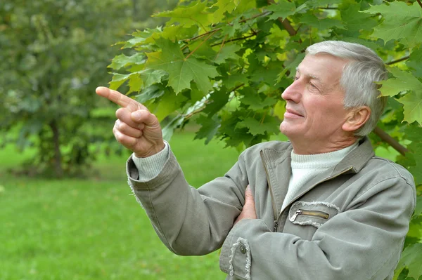 Senior man op een wandeling — Stockfoto