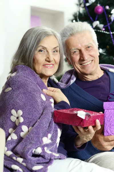 Äldre par fira högtider — Stockfoto