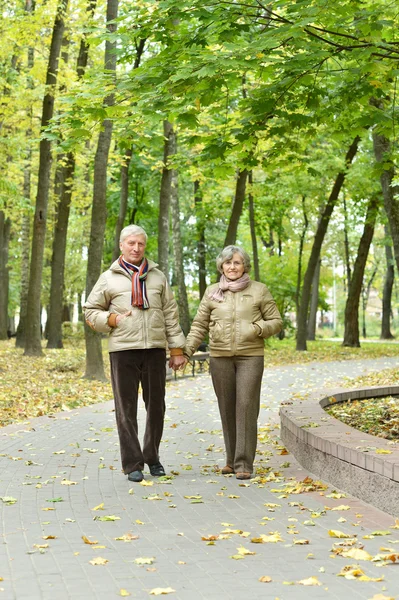 Parejas maduras en el parque de otoño —  Fotos de Stock