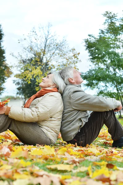 秋に年配のカップル — ストック写真