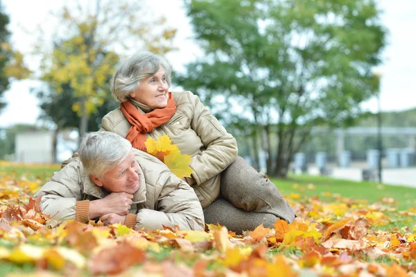 Пожилая пара бросает листья — стоковое фото