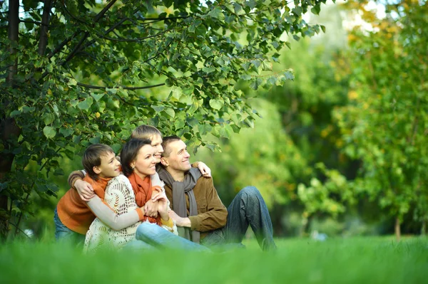 Familie im Herbstpark Stockbild
