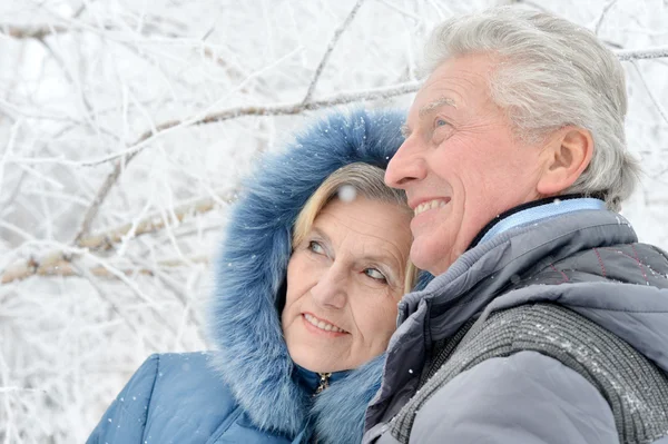 Couple aîné en hiver — Photo