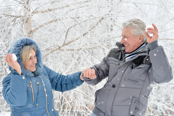 Pareja mayor en invierno — Foto de Stock