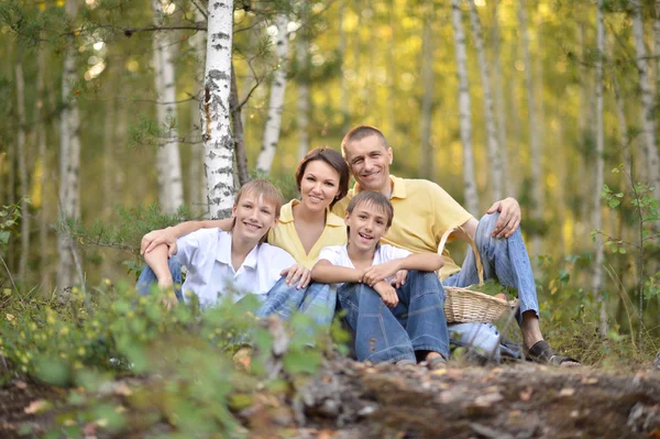 Familjen i en björkskog — Stockfoto