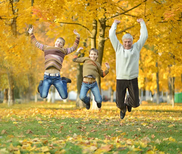 Мальчики и дедушка прыгают — стоковое фото
