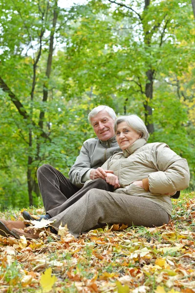 Pareja en el parque de otoño — Foto de Stock