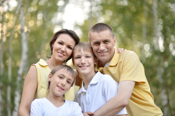 Family in the birch forest — Stock Photo, Image