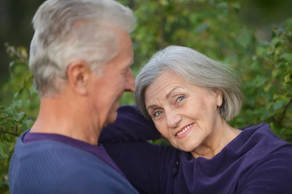 Senior couple in autumn park — Stock Photo, Image