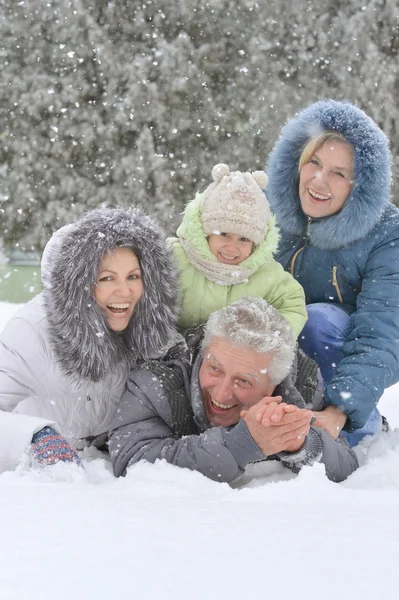 Kışın mutlu bir aile — Stok fotoğraf