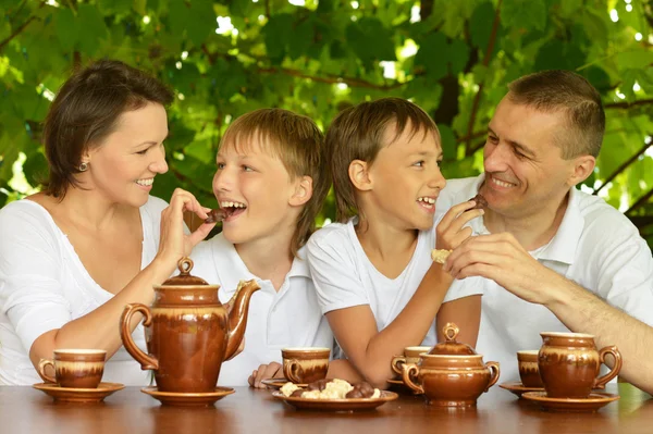 Familie drikker te om sommeren - Stock-foto