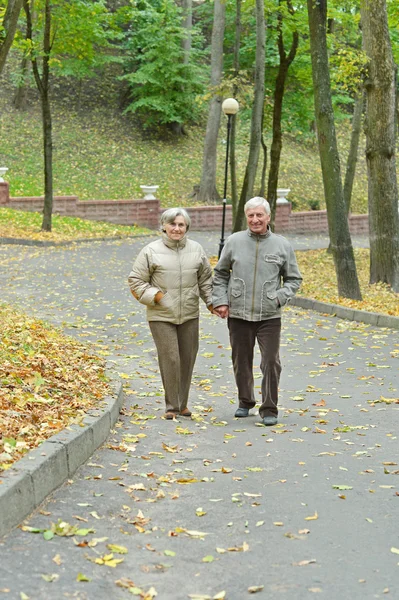 Pareja mayor en el parque de otoño — Foto de Stock