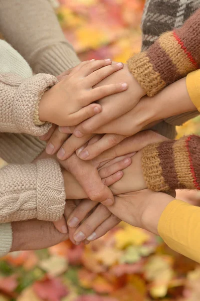 Handen van een familie samen — Stockfoto