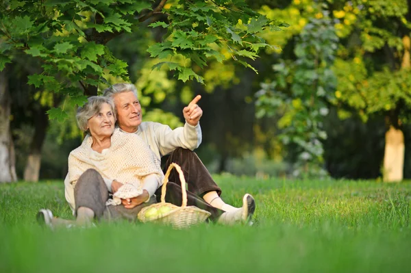 Senior couple on nature — Stock Photo, Image